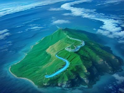用户投稿的青岛中山公园樱花节实拍视频截图，海滨城市背景下樱花盛开，蓝天碧海与粉色花海交相辉映